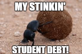 dung beetle | MY STINKIN' STUDENT DEBT! | image tagged in dung beetle | made w/ Imgflip meme maker