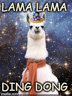 Happy Birthday Alpaca | LAMA LAMA DING DONG | image tagged in happy birthday alpaca | made w/ Imgflip meme maker