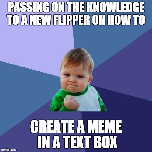 Passing along what leader-board flippers helped me with! | PASSING ON THE KNOWLEDGE TO A NEW FLIPPER ON HOW TO CREATE A MEME IN A TEXT BOX | image tagged in memes,success kid,users | made w/ Imgflip meme maker
