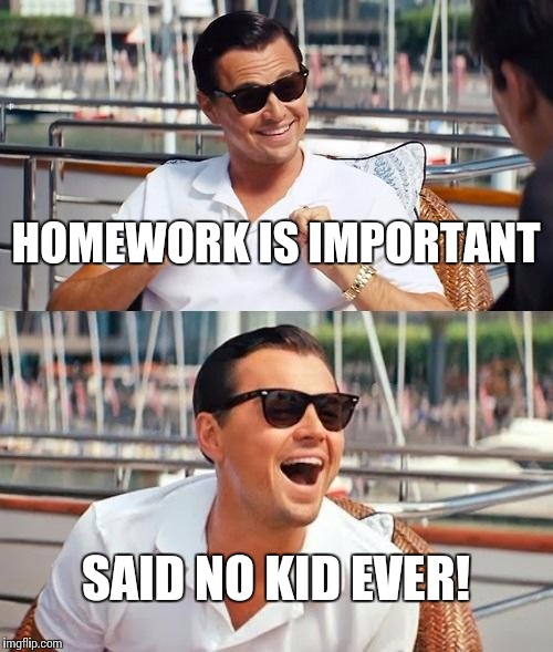 Leonardo Dicaprio Wolf Of Wall Street | HOMEWORK IS IMPORTANT SAID NO KID EVER! | image tagged in memes,leonardo dicaprio wolf of wall street | made w/ Imgflip meme maker