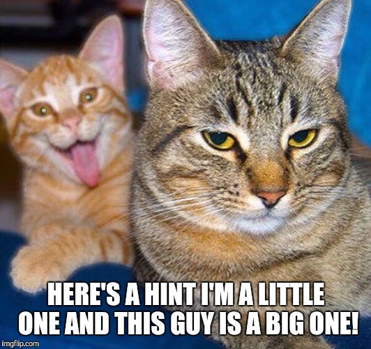 HERE'S A HINT I'M A LITTLE ONE AND THIS GUY IS A BIG ONE! | made w/ Imgflip meme maker