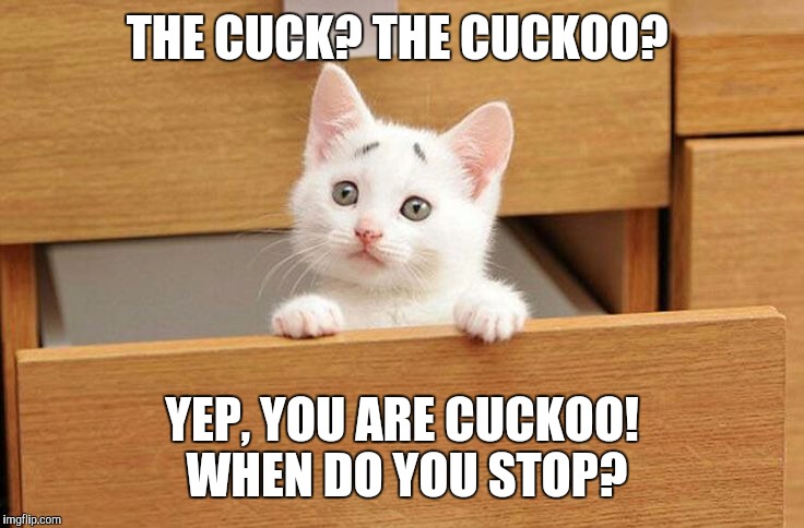 THE CUCK? THE CUCKOO? YEP, YOU ARE CUCKOO! WHEN DO YOU STOP? | made w/ Imgflip meme maker