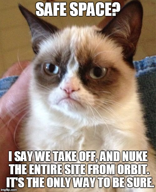Boom shaka laka!   | SAFE SPACE? I SAY WE TAKE OFF, AND NUKE THE ENTIRE SITE FROM ORBIT.  IT'S THE ONLY WAY TO BE SURE. | image tagged in memes,grumpy cat,safe space,ellen ripley,movie quotes | made w/ Imgflip meme maker