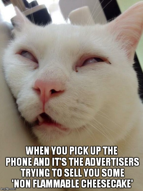 Bored Kitty | WHEN YOU PICK UP THE PHONE AND IT'S THE ADVERTISERS TRYING TO SELL YOU SOME 'NON FLAMMABLE CHEESECAKE' | image tagged in bored kitty | made w/ Imgflip meme maker