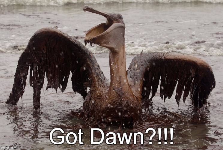 Got Dawn?!!! | image tagged in oil spill,wildlife,sick humor | made w/ Imgflip meme maker