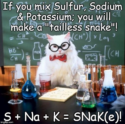 Chemistry Cat | If you mix Sulfur, Sodium & Potassium; you will make a "tailless snake"! S + Na + K = SNaK(e)! | image tagged in memes,chemistry cat,snake,sulfur,sodium,potassium | made w/ Imgflip meme maker