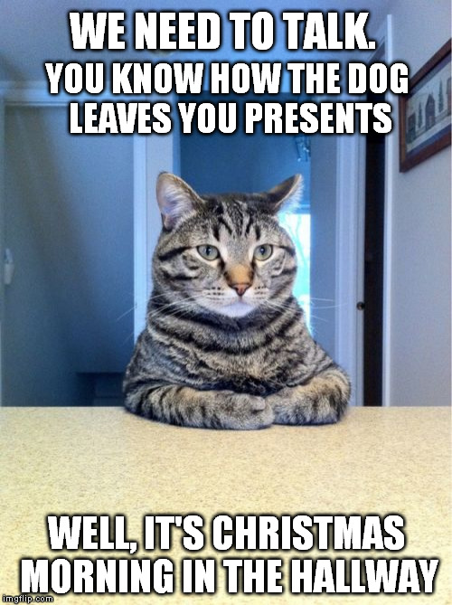Take A Seat Cat | WE NEED TO TALK. WELL, IT'S CHRISTMAS MORNING IN THE HALLWAY YOU KNOW HOW THE DOG LEAVES YOU PRESENTS | image tagged in memes,take a seat cat,it's not a present it's poop,get it,poop,that's what it is there | made w/ Imgflip meme maker