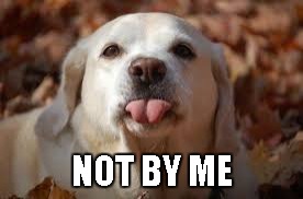 NOT BY ME | made w/ Imgflip meme maker