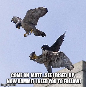 Atlanta Falcons | COME ON  MATT...SEE I RISED  UP,  NOW DAMMIT I NEED YOU TO FOLLOW! | image tagged in football | made w/ Imgflip meme maker