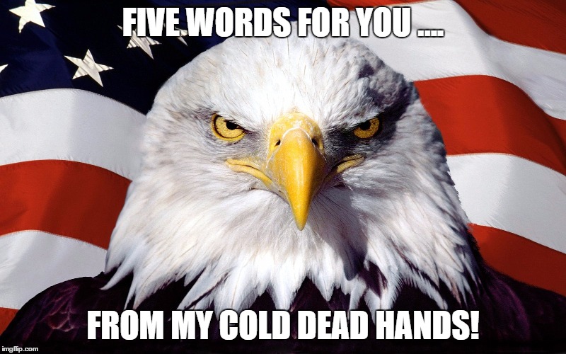 From my cold dead hands | FIVE WORDS FOR YOU .... FROM MY COLD DEAD HANDS! | image tagged in 2nd amendment,america,guns | made w/ Imgflip meme maker