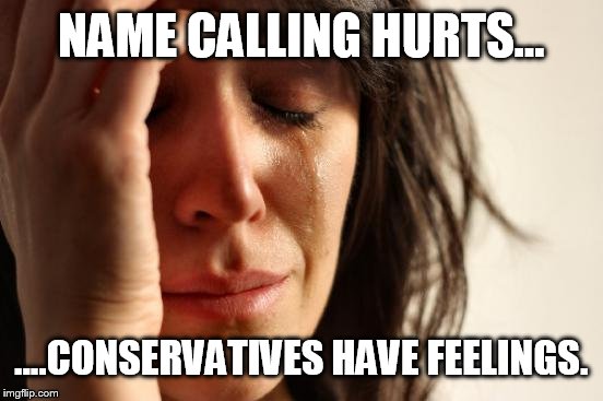 First World Problems Meme | NAME CALLING HURTS... ....CONSERVATIVES HAVE FEELINGS. | image tagged in memes,first world problems | made w/ Imgflip meme maker