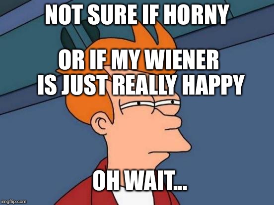 Futurama Fry Meme | NOT SURE IF HORNY OR IF MY WIENER IS JUST REALLY HAPPY OH WAIT... | image tagged in memes,futurama fry | made w/ Imgflip meme maker