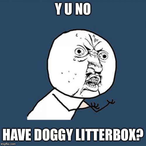 Y U No Meme | Y U NO HAVE DOGGY LITTERBOX? | image tagged in memes,y u no | made w/ Imgflip meme maker