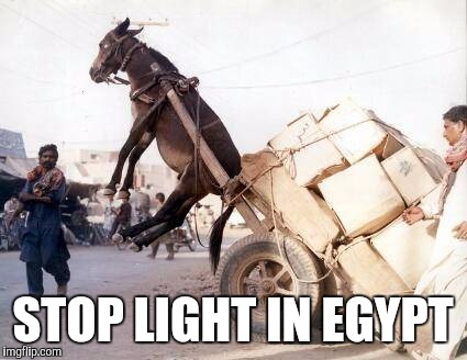 STOP LIGHT IN EGYPT | made w/ Imgflip meme maker