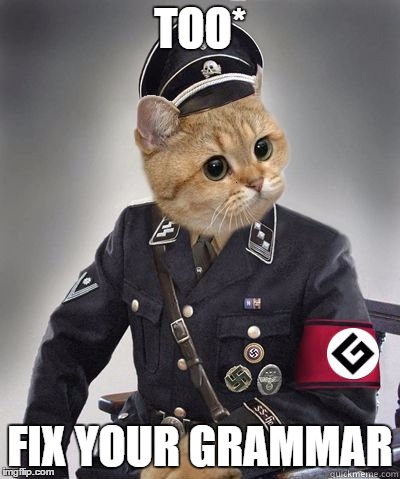 TOO* FIX YOUR GRAMMAR | made w/ Imgflip meme maker