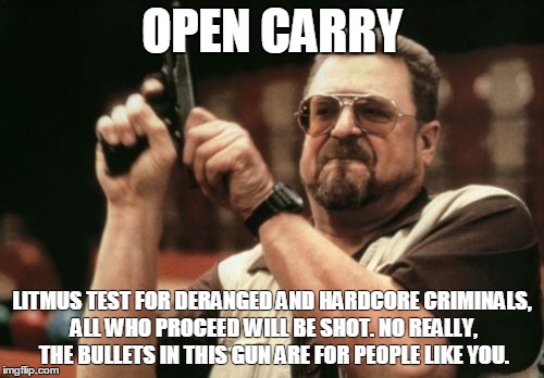 Open carry litmus | OPEN CARRY LITMUS TEST FOR DERANGED AND HARDCORE CRIMINALS, ALL WHO PROCEED WILL BE SHOT. NO REALLY, THE BULLETS IN THIS GUN ARE FOR PEOPLE  | image tagged in memes,am i the only one around here,open carry | made w/ Imgflip meme maker