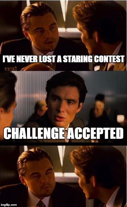 Staring Contest | I'VE NEVER LOST A STARING CONTEST CHALLENGE ACCEPTED | image tagged in memes,inception | made w/ Imgflip meme maker