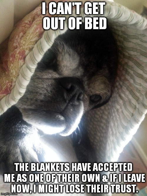 Sleeeeeepppyyyyyy | I CAN'T GET OUT OF BED THE BLANKETS HAVE ACCEPTED ME AS ONE OF THEIR OWN & IF I LEAVE NOW, I MIGHT LOSE THEIR TRUST. | image tagged in pug,pugs,tired,sleepy | made w/ Imgflip meme maker