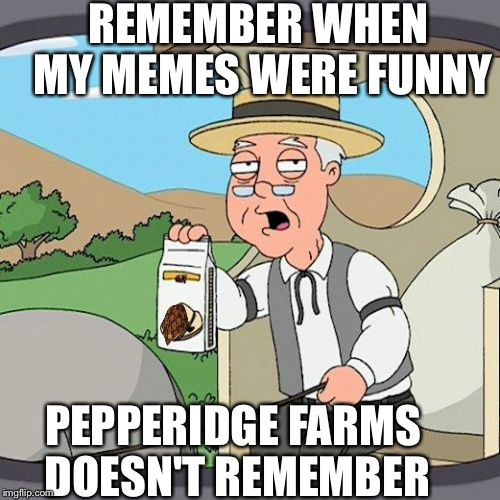 Pepperidge Farms Don't Remember  | REMEMBER WHEN MY MEMES WERE FUNNY PEPPERIDGE FARMS DOESN'T REMEMBER | image tagged in memes,pepperidge farm remembers,scumbag | made w/ Imgflip meme maker