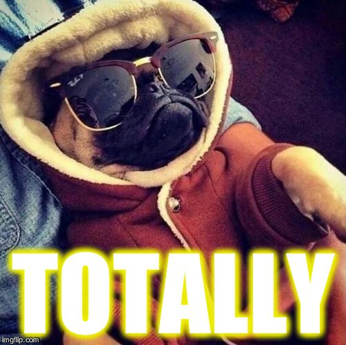 Cool pug | TOTALLY | image tagged in cool pug | made w/ Imgflip meme maker