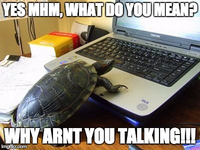 Turtle Computer | YES MHM, WHAT DO YOU MEAN? WHY ARNT YOU TALKING!!! | image tagged in turtle computer | made w/ Imgflip meme maker