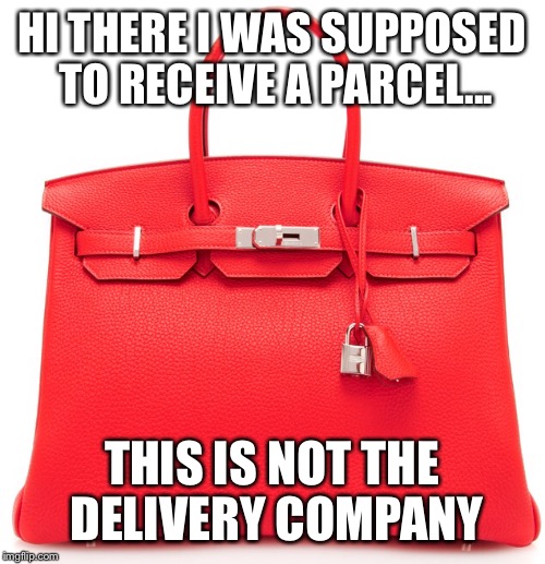 HI THERE I WAS SUPPOSED TO RECEIVE A PARCEL... THIS IS NOT THE DELIVERY COMPANY | image tagged in handball | made w/ Imgflip meme maker