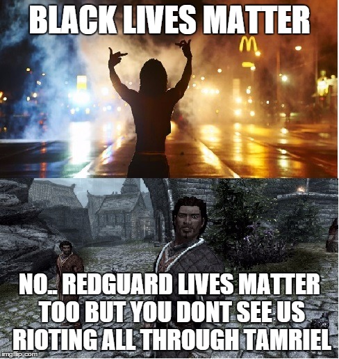 Image tagged in redguard lives matter - Imgflip