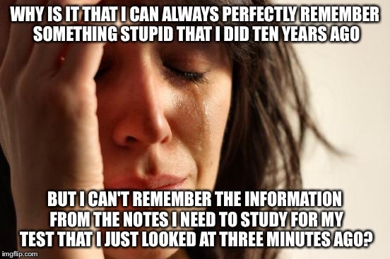 First World Problems | WHY IS IT THAT I CAN ALWAYS PERFECTLY REMEMBER SOMETHING STUPID THAT I DID TEN YEARS AGO BUT I CAN'T REMEMBER THE INFORMATION FROM THE NOTES | image tagged in memes,first world problems | made w/ Imgflip meme maker