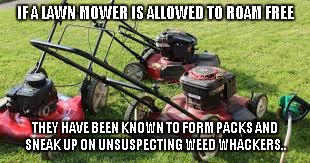 lawn mower madness | IF A LAWN MOWER IS ALLOWED TO ROAM FREE THEY HAVE BEEN KNOWN TO FORM PACKS AND SNEAK UP ON UNSUSPECTING WEED WHACKERS.. | image tagged in funny,lawnmower | made w/ Imgflip meme maker