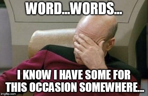 Captain Picard Facepalm Meme | WORD...WORDS... I KNOW I HAVE SOME FOR THIS OCCASION SOMEWHERE... | image tagged in memes,captain picard facepalm | made w/ Imgflip meme maker