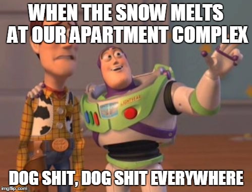 X, X Everywhere | WHEN THE SNOW MELTS AT OUR APARTMENT COMPLEX DOG SHIT, DOG SHIT EVERYWHERE | image tagged in memes,x x everywhere | made w/ Imgflip meme maker