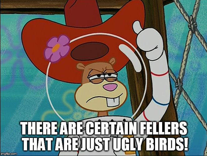 Sandy Cheeks Ugly Birds | THERE ARE CERTAIN FELLERS THAT ARE JUST UGLY BIRDS! | image tagged in sandy cheeks,memes,spongebob squarepants,texas girl,ugly bird | made w/ Imgflip meme maker