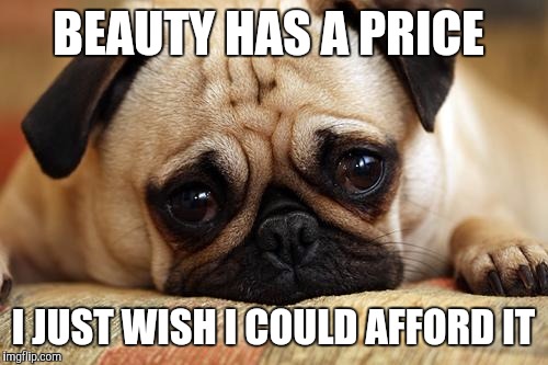sad pug | BEAUTY HAS A PRICE I JUST WISH I COULD AFFORD IT | image tagged in sad pug,beauty,ugly,memes,funny memes,meme | made w/ Imgflip meme maker