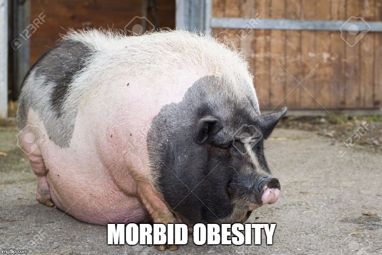 MORBID OBESITY | made w/ Imgflip meme maker