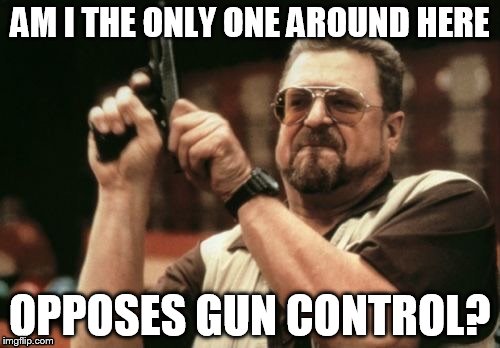 Am I The Only One Here Who Opposes Gun Control? | AM I THE ONLY ONE AROUND HERE OPPOSES GUN CONTROL? | image tagged in am i the only one around here,memes,walter the big lebowski,gun control | made w/ Imgflip meme maker