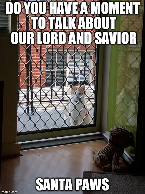 DO YOU HAVE A MOMENT TO TALK ABOUT OUR LORD AND SAVIOR SANTA PAWS | image tagged in door cat | made w/ Imgflip meme maker