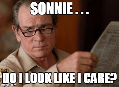 Tommy Lee Jones | SONNIE . . . DO I LOOK LIKE I CARE? | image tagged in tommy lee jones | made w/ Imgflip meme maker