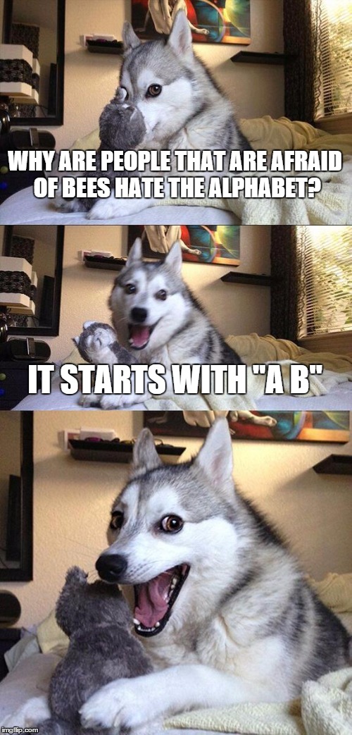 Bad Pun Dog | WHY ARE PEOPLE THAT ARE AFRAID OF BEES HATE THE ALPHABET? IT STARTS WITH "A B" | image tagged in memes,bad pun dog | made w/ Imgflip meme maker