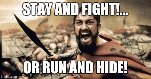 Sparta Leonidas Meme | STAY AND FIGHT!... OR RUN AND HIDE! | image tagged in memes,sparta leonidas | made w/ Imgflip meme maker