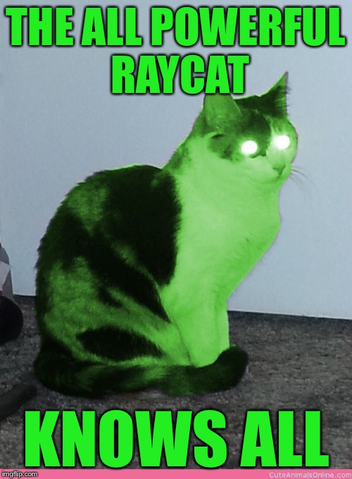Hypno Raycat | THE ALL POWERFUL RAYCAT KNOWS ALL | image tagged in hypno raycat | made w/ Imgflip meme maker