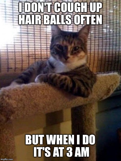 The Most Interesting Cat In The World Meme | I DON'T COUGH UP HAIR BALLS OFTEN BUT WHEN I DO IT'S AT 3 AM | image tagged in memes,the most interesting cat in the world | made w/ Imgflip meme maker