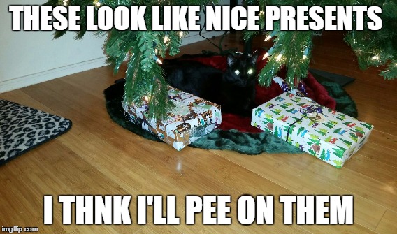 what cats do when u r gone | THESE LOOK LIKE NICE PRESENTS I THNK I'LL PEE ON THEM | image tagged in cats | made w/ Imgflip meme maker