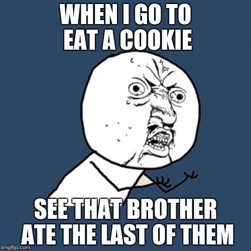 Y U No | WHEN I GO TO EAT A COOKIE SEE THAT BROTHER ATE THE LAST OF THEM | image tagged in memes,y u no | made w/ Imgflip meme maker