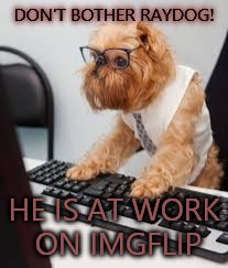 Have you ever wondered what Raydogs job is? ;) | DON'T BOTHER RAYDOG! HE IS AT WORK ON IMGFLIP | image tagged in raydog at work | made w/ Imgflip meme maker