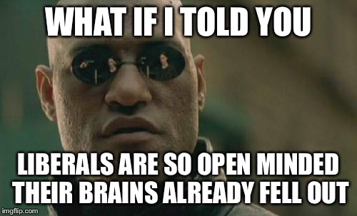 Matrix Morpheus Meme | WHAT IF I TOLD YOU LIBERALS ARE SO OPEN MINDED THEIR BRAINS ALREADY FELL OUT | image tagged in memes,matrix morpheus | made w/ Imgflip meme maker