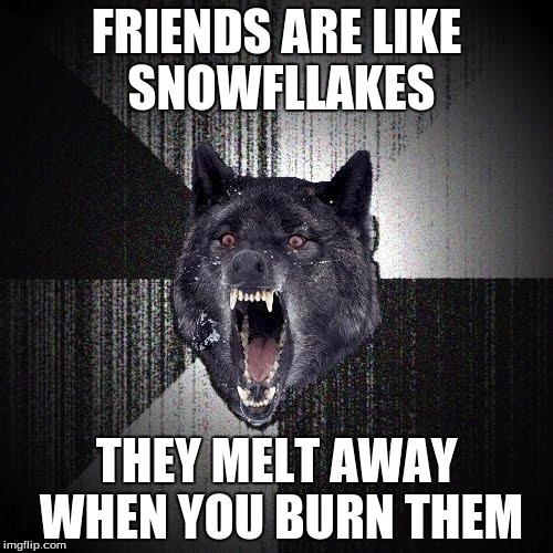 Insanity Wolf Meme | FRIENDS ARE LIKE SNOWFLLAKES THEY MELT AWAY WHEN YOU BURN THEM | image tagged in memes,insanity wolf | made w/ Imgflip meme maker