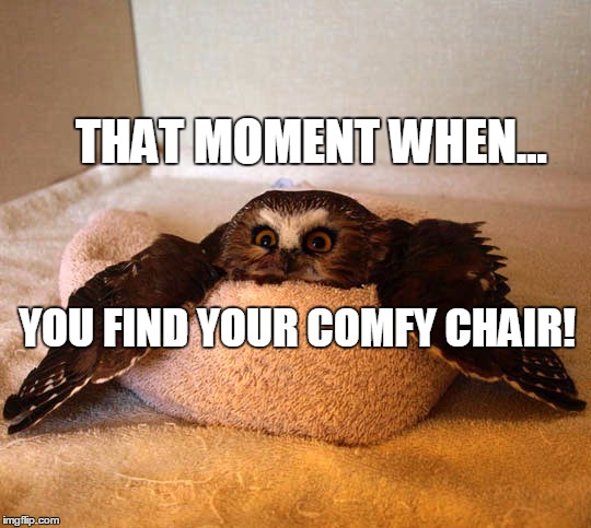 THAT MOMENT WHEN... YOU FIND YOUR COMFY CHAIR! | image tagged in chillin' owl | made w/ Imgflip meme maker