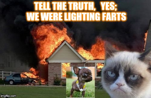 Burn Kitty Meme | TELL THE TRUTH,   YES; WE WERE LIGHTING FARTS | image tagged in memes,burn kitty | made w/ Imgflip meme maker