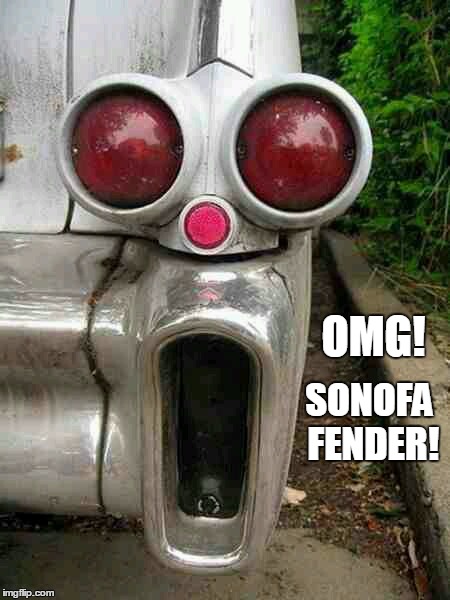 Cadillac Fender Scared | OMG! SONOFA FENDER! | image tagged in cadillac fender scared | made w/ Imgflip meme maker