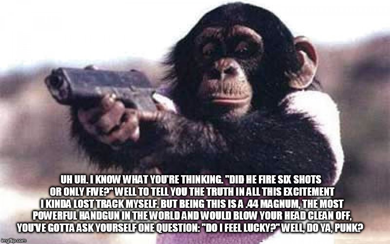 lucky punk | UH UH. I KNOW WHAT YOU'RE THINKING. "DID HE FIRE SIX SHOTS OR ONLY FIVE?" WELL TO TELL YOU THE TRUTH IN ALL THIS EXCITEMENT I KINDA LOST TRA | image tagged in dirty harry | made w/ Imgflip meme maker